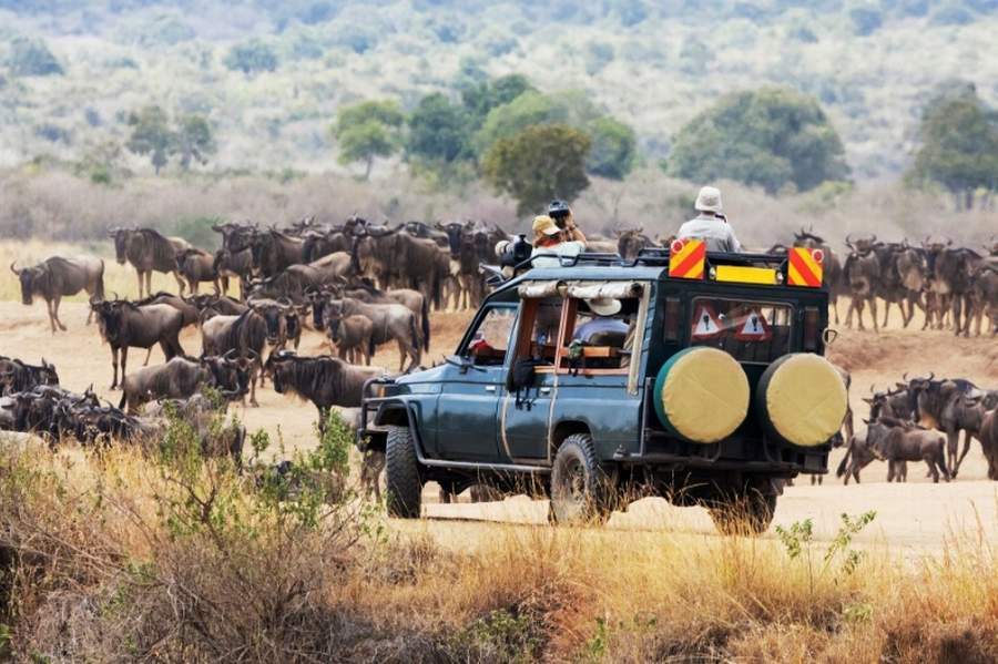 Current Africa Adventures, East Africa Safari Holidays